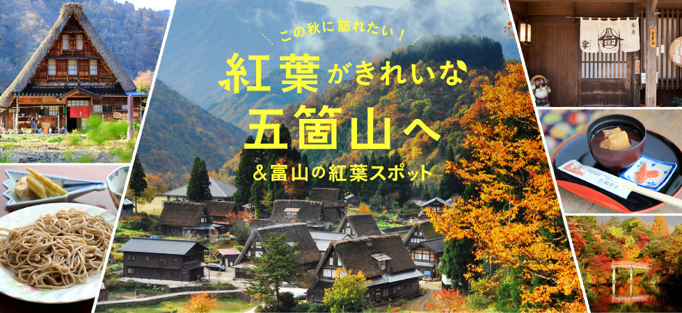 旅行 / 觀光 自然 / 清新 季節活動Banner設計