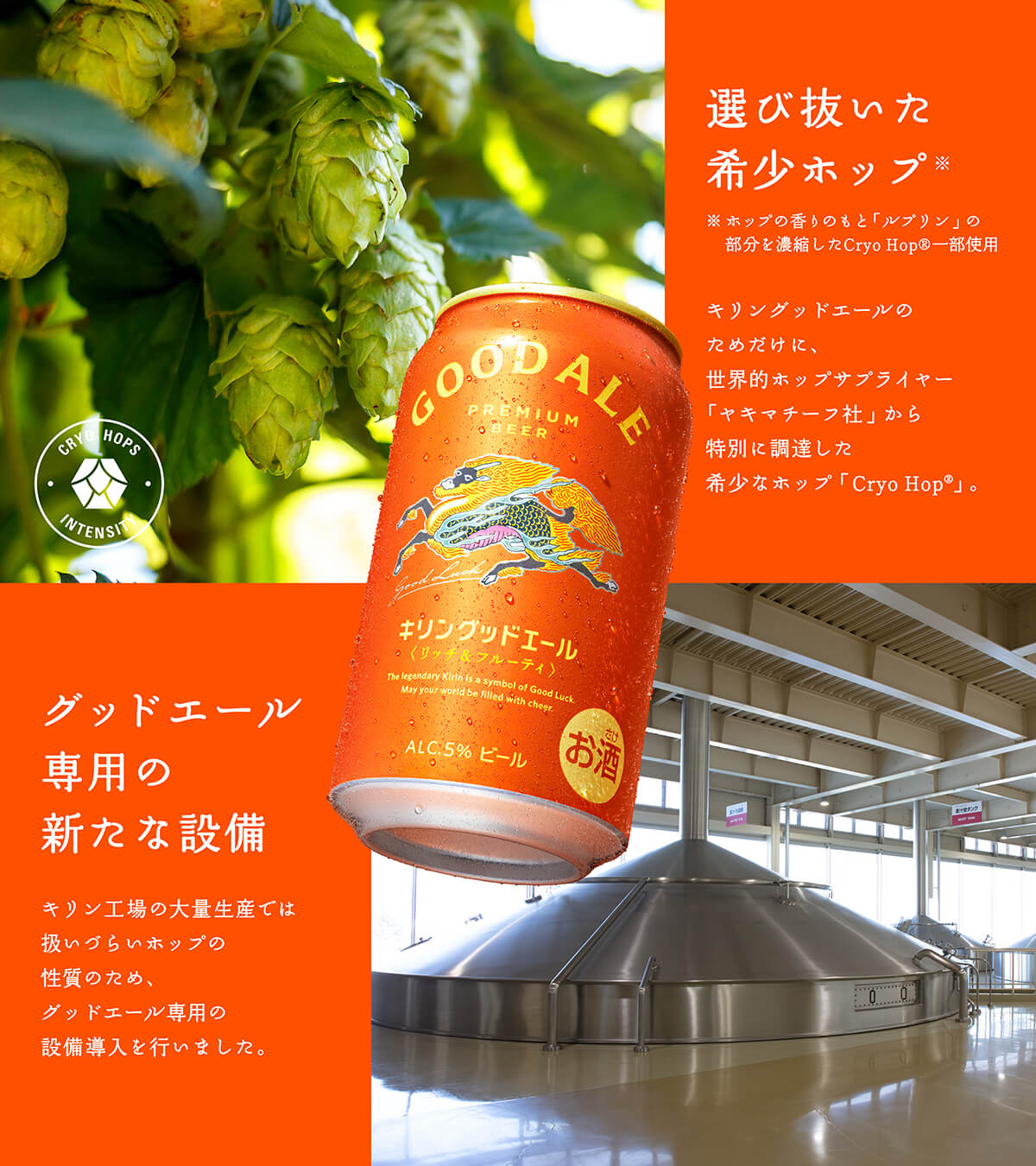 饮料 / 食品 酷 简单 高级感 / 漂亮 剪贴Banner设计