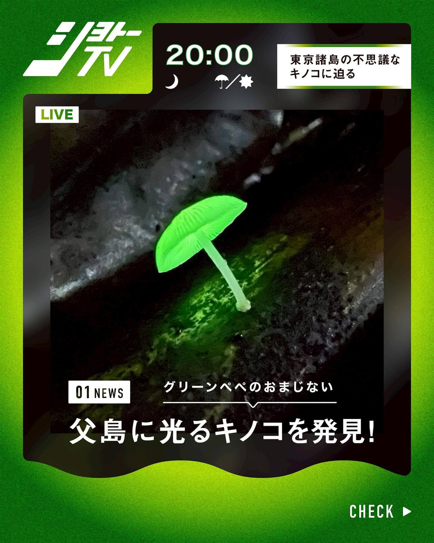 電影 / 節目 / 音樂 帥 休閒 熱鬧 / 流行 插圖Banner設計