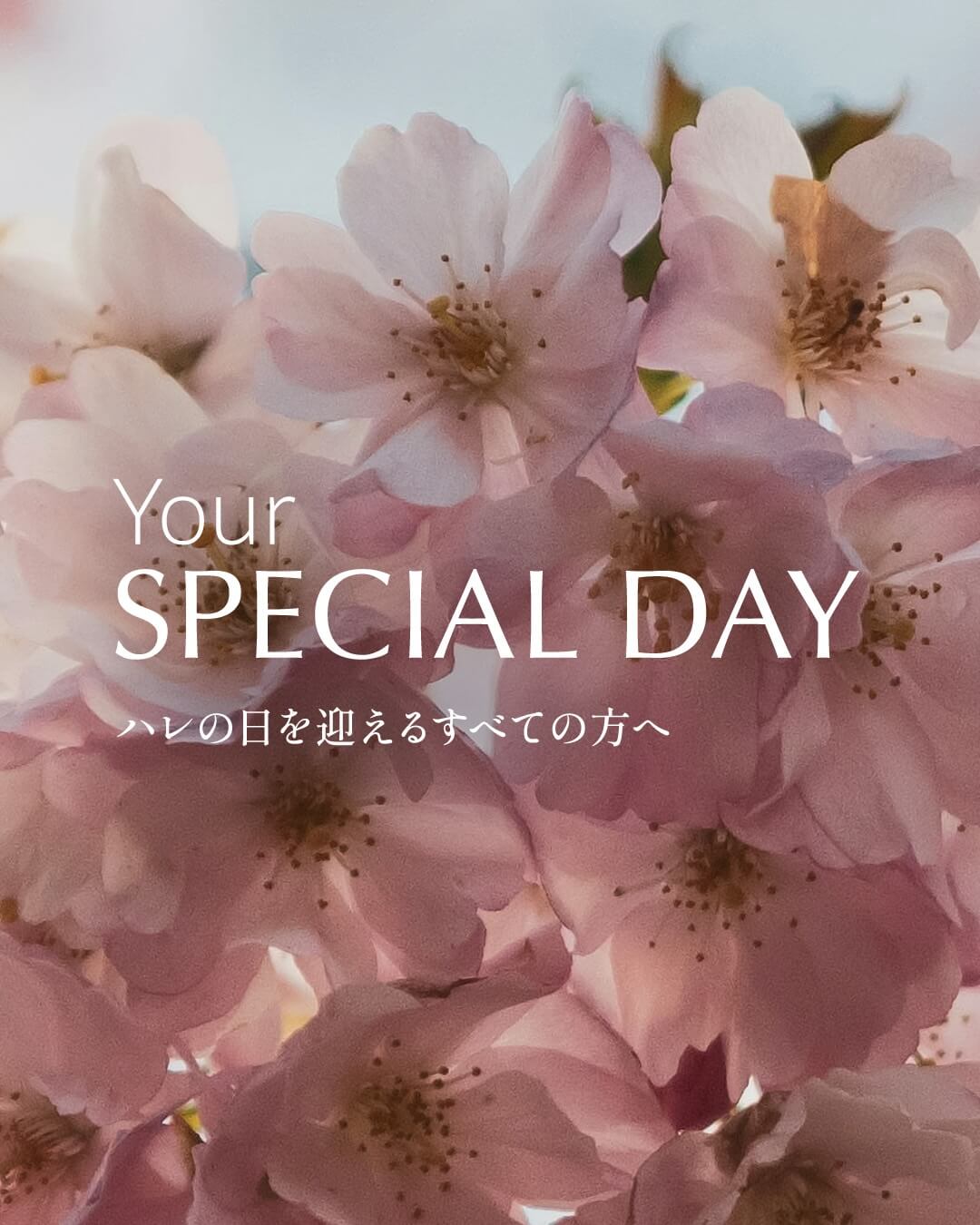 時尚 / 服裝 帥 簡單 高級感 / 漂亮 自然 / 清新Banner設計